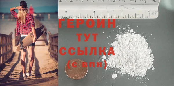 молекула духа Богданович