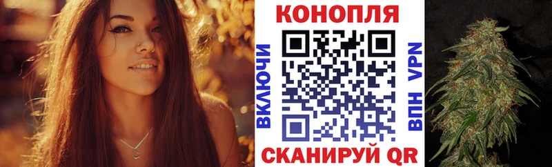 Купить закладки Нововоронеж Бошки марихуана планчик